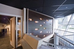 Sufity podwieszane Rockfon